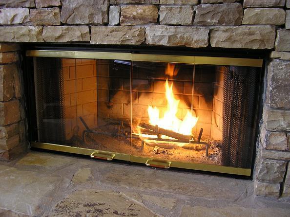 DM100 Fireplace Glass Doors